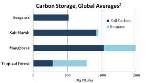 Carbon Storage Global Averages Graph