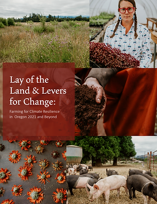Lay of the Land and Levers for Change (PDF)