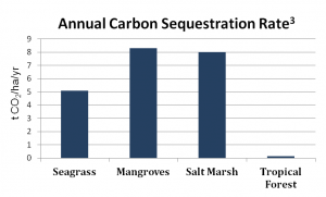 Annual Carbon Sequestration Rate Graph
