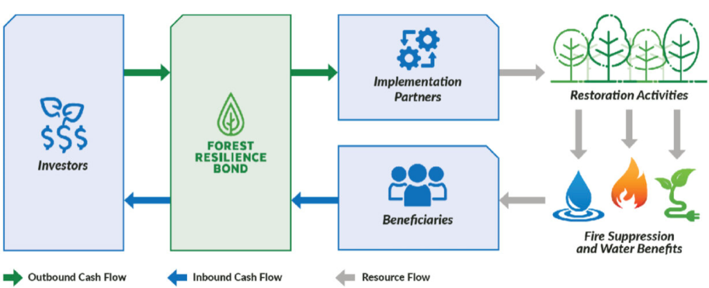 Forestry Resilience Bond Workflow Ingographic