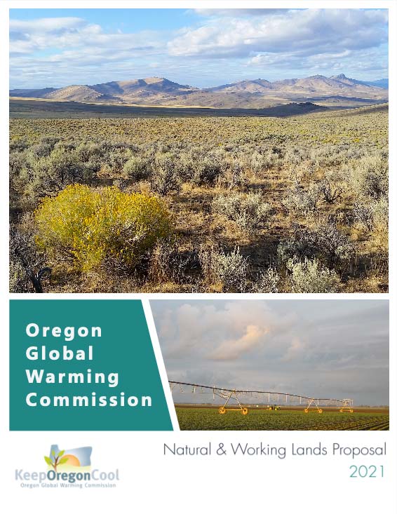 Natural and Working Lands proposal 2021